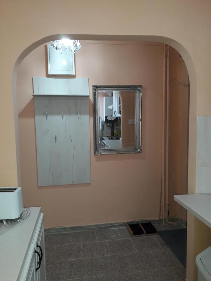 Cozy, Central 1-Bedroom Apartment In Timisoara, Romania Exteriér fotografie