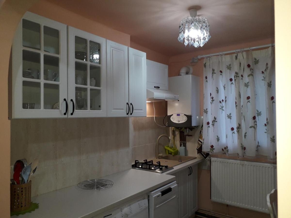 Cozy, Central 1-Bedroom Apartment In Timisoara, Romania Exteriér fotografie