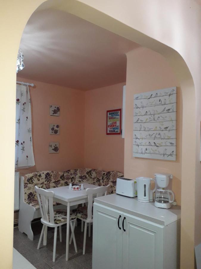 Cozy, Central 1-Bedroom Apartment In Timisoara, Romania Exteriér fotografie