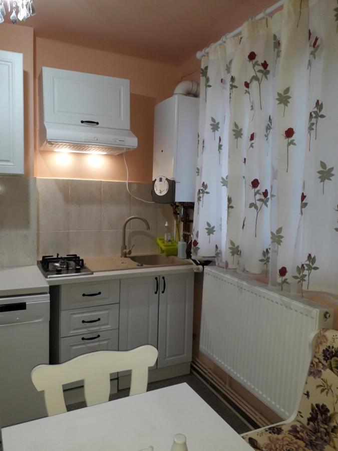 Cozy, Central 1-Bedroom Apartment In Timisoara, Romania Exteriér fotografie