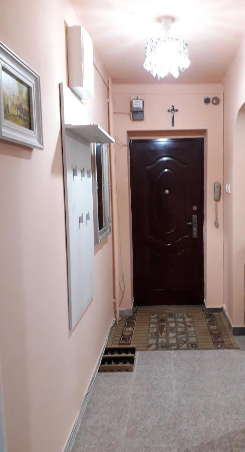 Cozy, Central 1-Bedroom Apartment In Timisoara, Romania Exteriér fotografie