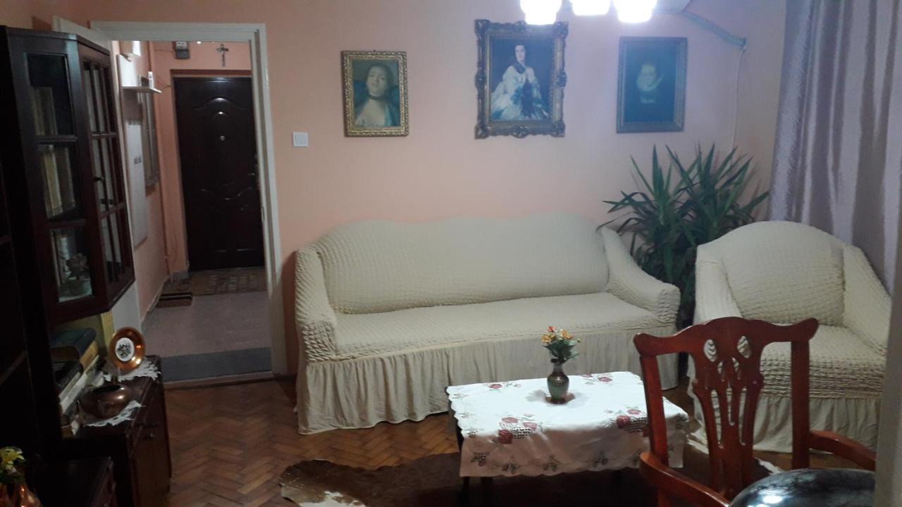 Cozy, Central 1-Bedroom Apartment In Timisoara, Romania Exteriér fotografie